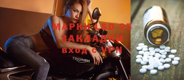 ПСИЛОЦИБИНОВЫЕ ГРИБЫ Новозыбков