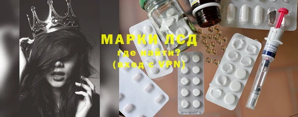 ПСИЛОЦИБИНОВЫЕ ГРИБЫ Новозыбков