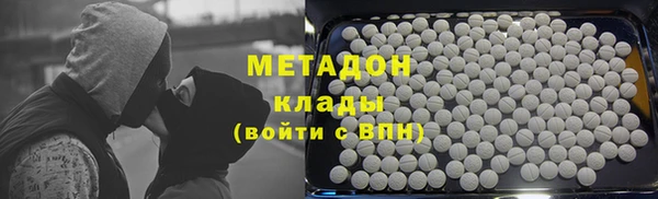 сатива Няндома