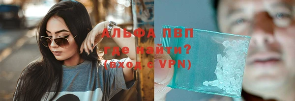 ПСИЛОЦИБИНОВЫЕ ГРИБЫ Новозыбков