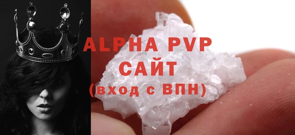 ПСИЛОЦИБИНОВЫЕ ГРИБЫ Новозыбков