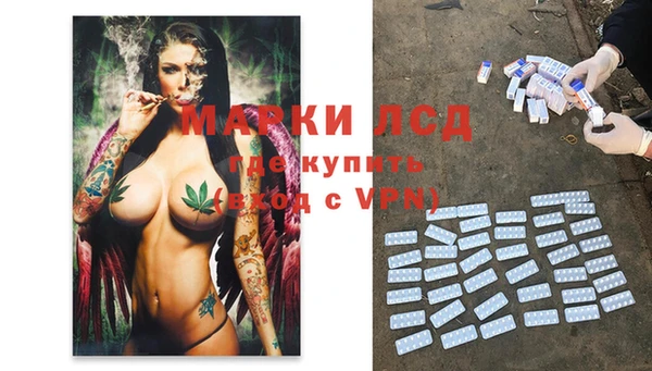 спиды Новокубанск