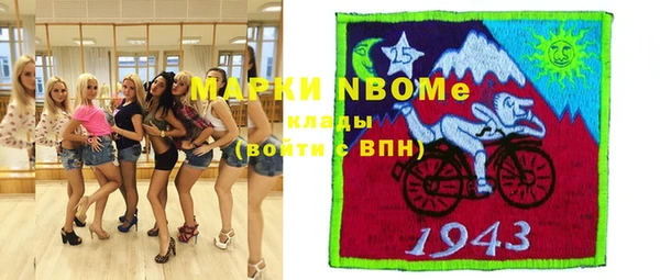 ПСИЛОЦИБИНОВЫЕ ГРИБЫ Новозыбков