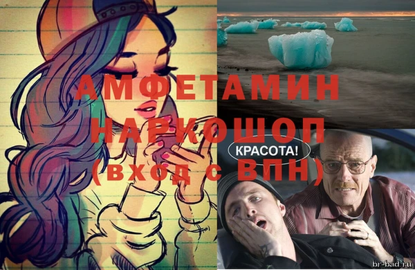 ПСИЛОЦИБИНОВЫЕ ГРИБЫ Новозыбков