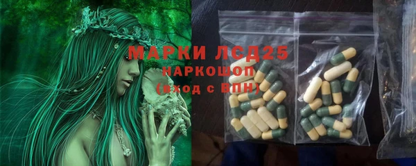 шишки Нягань