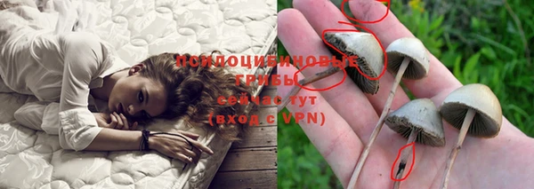 марки nbome Новодвинск
