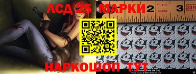МДПВ Донецк