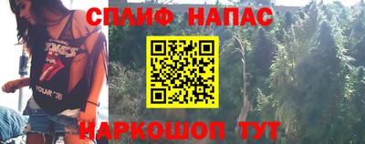прущие грибы Донской