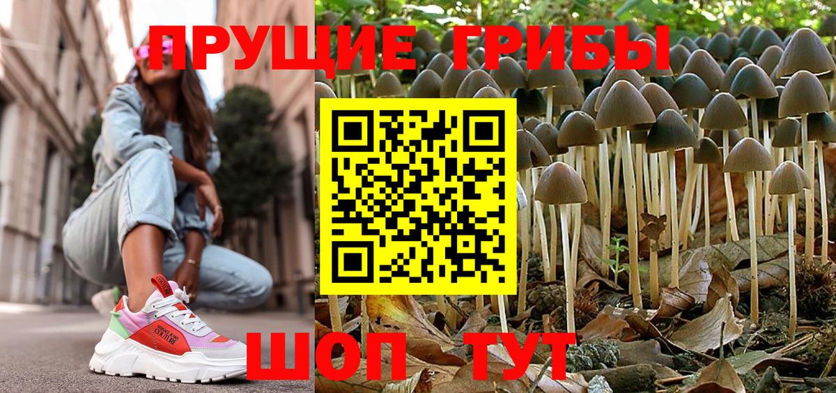 Галлюциногенные грибы Psilocybine cubensis Миллерово