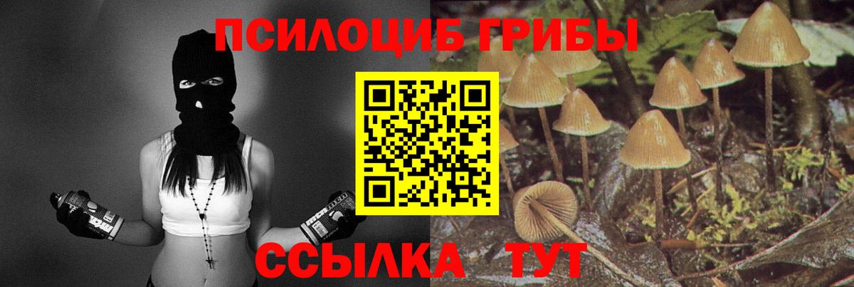 Миллерово  Псилоцибиновые грибы Magic Shrooms  Вход с VPN 